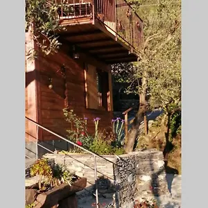 https://la-casetta-di-molly-tra-ulivi-e-roseto.hotelitalianriviera.com